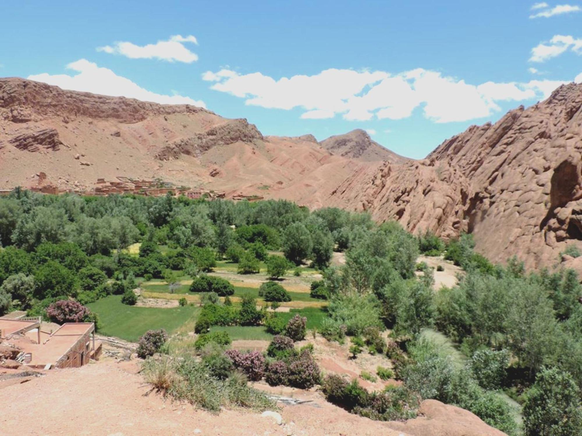 Kasbah Elmehdaoui Bed & Breakfast Skoura Ngoại thất bức ảnh