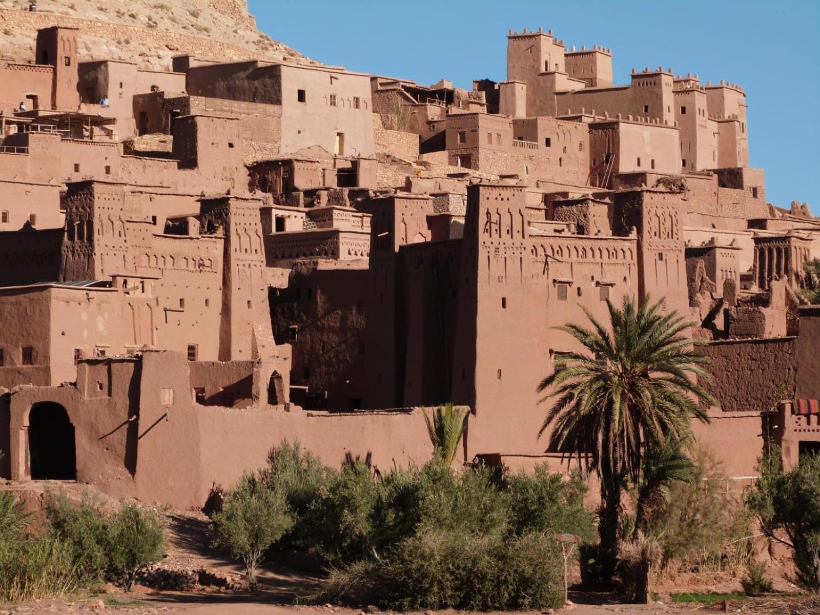 Kasbah Elmehdaoui Bed & Breakfast Skoura Ngoại thất bức ảnh